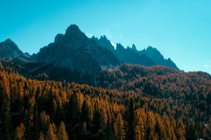5 Kreatywnych Pomysłów na Wyposażenie Domu i Zmianę Wyglądu Twojego Mieszkania