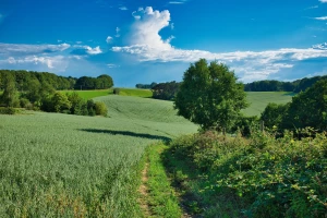 Pomysły na wyposażenie domu, które odmienią każde wnętrze